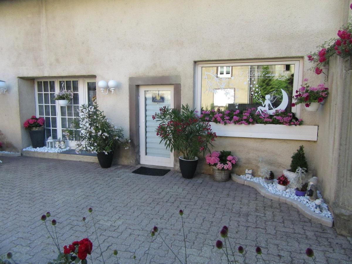 La Belle Endormie - Appartement B Fenetrange Eksteriør billede
